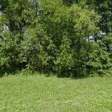 KALOUS PETR-KOVOOBRÁBĚNÍ