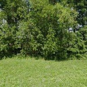 obrazek: avatar KALOUS PETR-KOVOOBRÁBĚNÍ