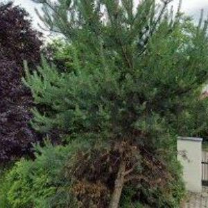 obrazek: avatar HIPPO-LTM s.r.o.