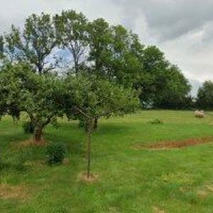 obrazek: avatar CHROMEC MILAN