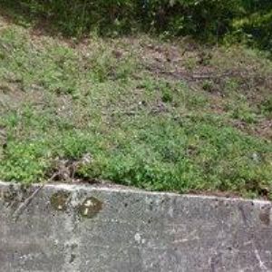 obrazek: avatar FANYCO s.r.o.