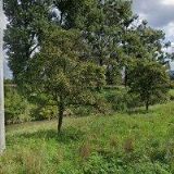 KOLÁŘ ZDENĚK Ing.