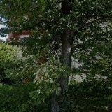 BON NÁSTROJE s.r.o.