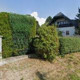 MRAVEC ALOIS-EXPOART