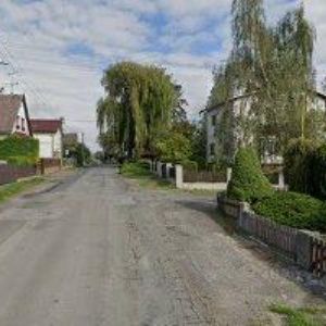 obrazek: avatar RENA