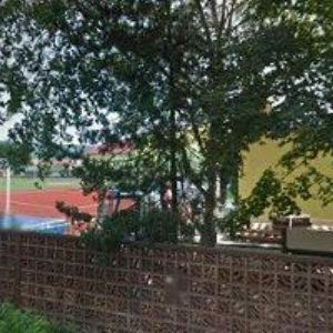 obrazek: avatar REX VOX, s.r.o.