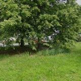 SLANINA ZDENĚK-POŽÁRNÍ SERVIS