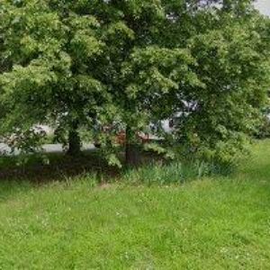 obrazek: avatar SLANINA ZDENĚK-POŽÁRNÍ SERVIS