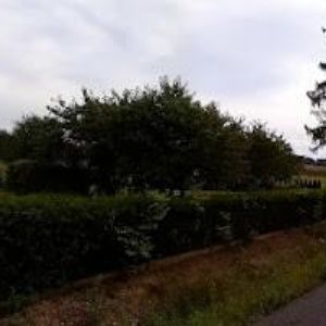 obrazek: avatar PLUNDRA MILAN