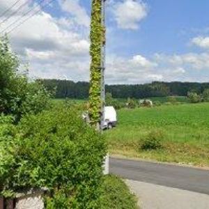 obrazek: avatar NEW BENEFIT s.r.o.