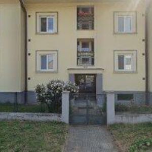 obrazek: avatar ARGO ATELIÉR