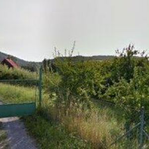 obrazek: avatar LYSÁK MARTIN