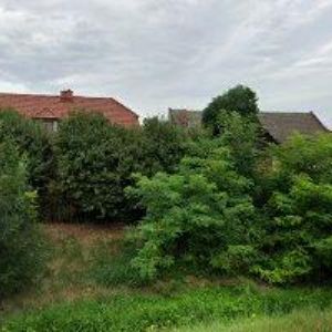 obrazek: avatar ARCHIVSERVIS