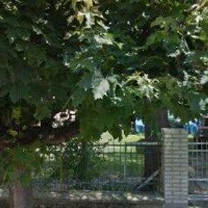 obrazek: avatar NOVINY OBELISK