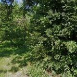 ŠÍŘENÍ PÍSMA SVATÉHO, SPOLEK PRO ŠÍŘENÍ KŘESŤANSKÉ VZDĚLÁVACÍ LITERATURY