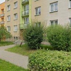 obrazek: avatar DRAHNÝ RADEK