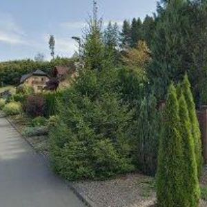 obrazek: avatar BUKOVJAN PETR