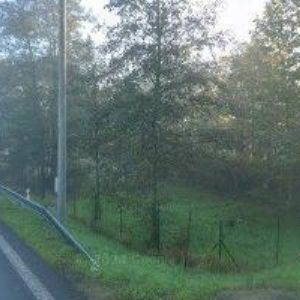 obrazek: avatar MORAVEC ZBYNĚK