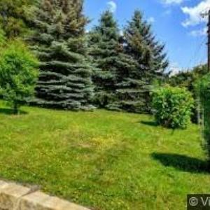 obrazek: avatar ZŠ Křižany-Žibřidice