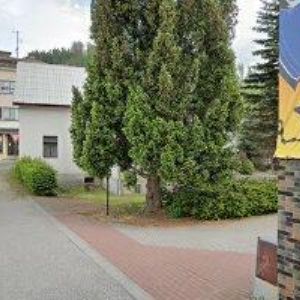 obrazek: avatar ZŠ, MŠ A ZUŠ Jablonec nad Jizerou