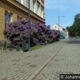 ZŠ Hrádek nad Nisou