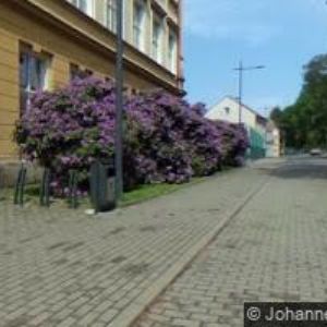 obrazek: avatar ZŠ Hrádek nad Nisou