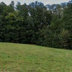 obrazek: avatar POPLUŽNÍK ELEKTRO