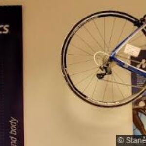 obrazek: avatar STUDIO ŽIVA