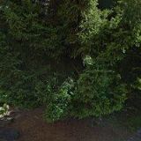 ZŠ IVANA OLBRACHTA Semily