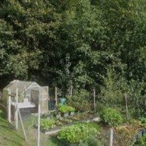 obrazek: avatar DĚDEČEK FRANTIŠEK