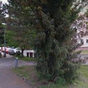 obrazek: avatar ZŠ DR.F.L.RIEGRA