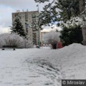 obrazek: avatar ZŠ RÝNOVICE