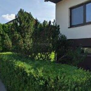 obrazek: avatar JISKRA JOSEF