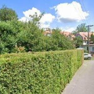 obrazek: avatar JEDLIČKA VÁCLAV