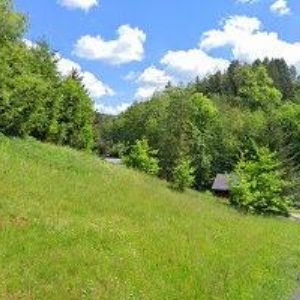 obrazek: avatar ZŠ Víchová nad Jizerou