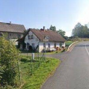 obrazek: avatar BISMILER DAN