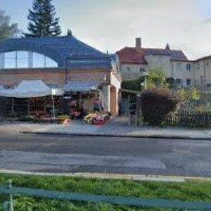 obrazek: avatar ŠEVČÍKOVÁ BEDŘIŠKA