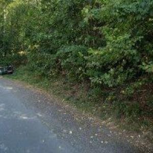 obrazek: avatar SEMRÁDOVÁ IVA