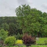 OBČANSKÉ SDRUŽENÍ HIPOREHABILITACE BANETA