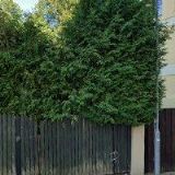 ZUŠ Lomnice nad Popelkou