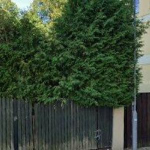 obrazek: avatar ZUŠ Lomnice nad Popelkou