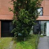 NOVÁKOVÁ LENKA MUDr.