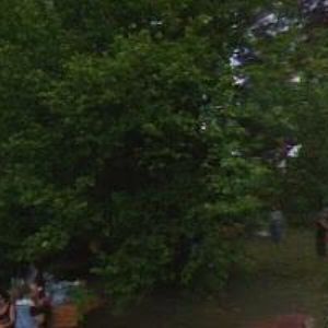 obrazek: avatar ZUŠ Nový Bor