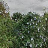 DLABAČ JAROMÍR Ing.-SOLÁRNÍ A TEPLOVODNÍ SYSTÉMY