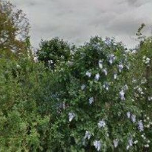 obrazek: avatar DLABAČ JAROMÍR Ing.-SOLÁRNÍ A TEPLOVODNÍ SYSTÉMY