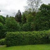 MŠ Paseky nad Jizerou