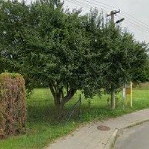 obrazek: avatar SPECO CONTROL s.r.o.