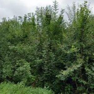 obrazek: avatar JML-ELEKTRO s.r.o.