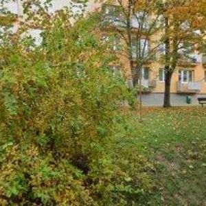 obrazek: avatar ŠUREK RICHARD