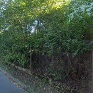 obrazek: avatar STŘEDNÍ ODBORNÁ ŠKOLA OBCHODNÍ s.r.o.